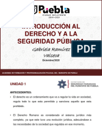 Introducción Al Derecho y A La Seguridad Pública PDF