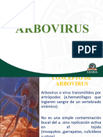 Arbovirus - Arenavirus