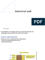 Abdominal Wall