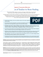 2014 - Augmentation of Tendon-to-Bone Healing