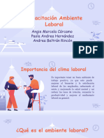 Capacitación Ambiente Laboral