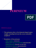 11 Perineum