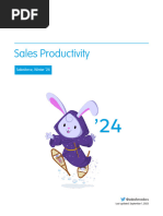 Sales Productivity