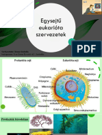 Egysejtű Eukarióta Szervezetek