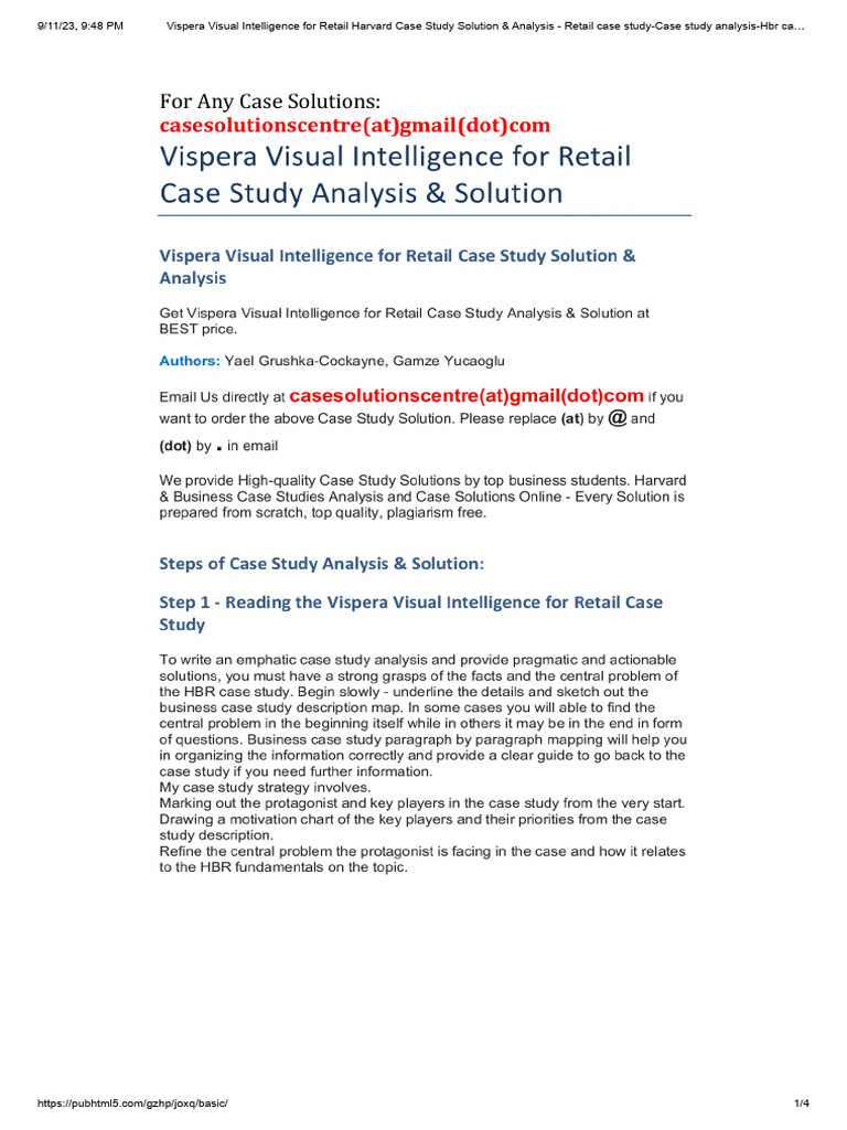 Vispera Retail Case Study Analysis | PDF