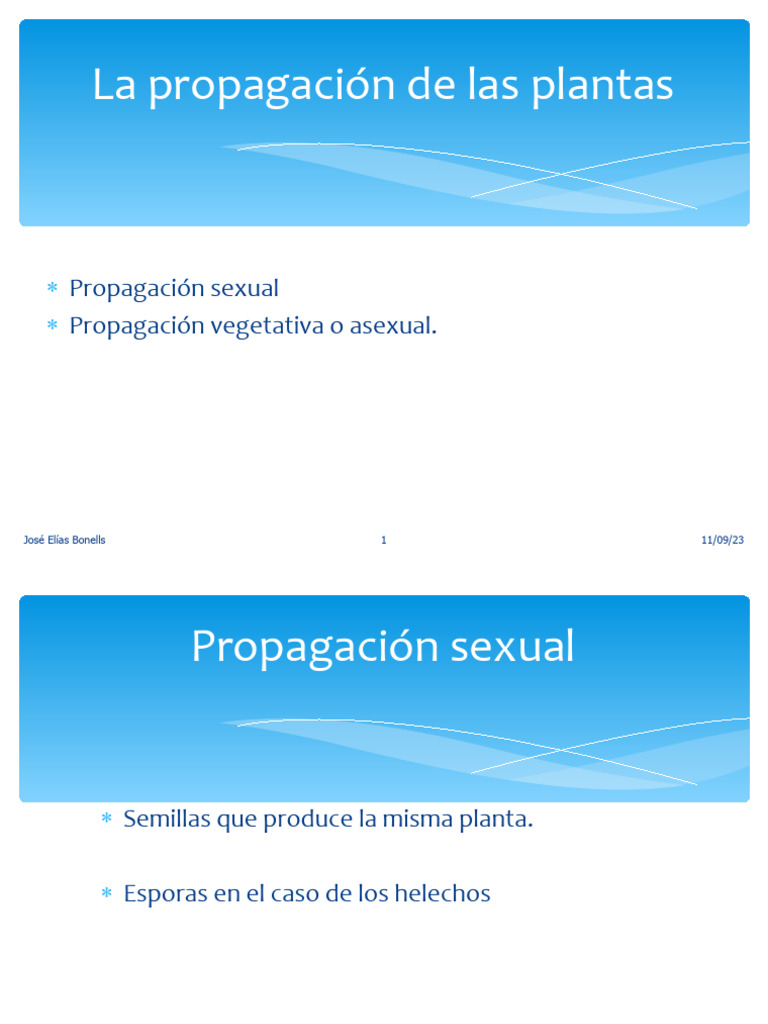Métodos de Propagación de Plantas | PDF | Injerto | Siembra