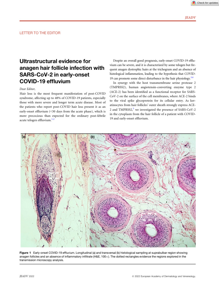 Acad Dermatol Venereol 2022 Mazeto Ultrastructural Evidence For