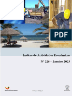 Indices de Actividades Economicas - IAE - No226 - JANEIRO - 2023
