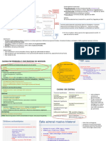 Insuficiencia Suprarrenal