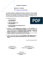 Promesa de Consorcio Gas Medical - MG