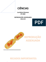 Ciencias-8ano - 07.03 Aula 02