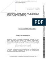 Recurso em Sentido Estrito AndreLuiz FEMINICIDIO