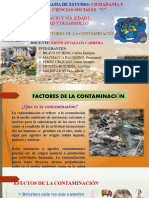 Factores de La Contaminacion