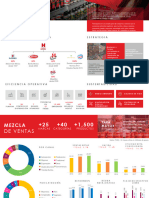 Ejemplo Informe Ejecutivo Grupo Hdez