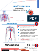 Circulatory System Template