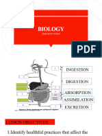 Digestive System