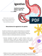 Etapas de La Respiración y Anatomía