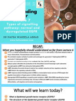 Types of Signalling Pathway Egfr Pathway Normal and Dysregulated