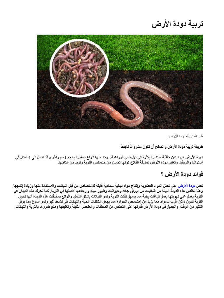 تربية دودة الأرض | PDF