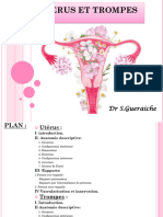 Uterus Et Trompes: DR S.Gueraiche