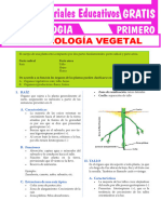 ĐӇ๛ Madara - Partes-de-las-Plantas-para-Primero-de-Secundaria