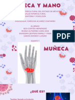 Copia de MUÑECA Y MANO - 20230829 - 084912 - 0000