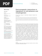 Interacciones electromagnéticas en la regulación del comportamiento celular y la morfogénesis