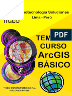 TEMARIO - ARCGIS - BÁSICO - Google Meet