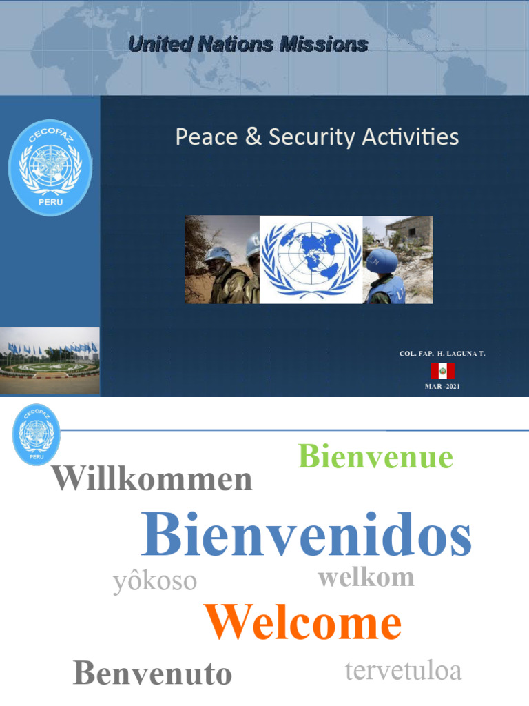 UN Peace and Security Activities Overview | PDF | Peacekeeping ...