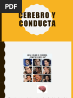 Cerebro y Conducta Psicologia General