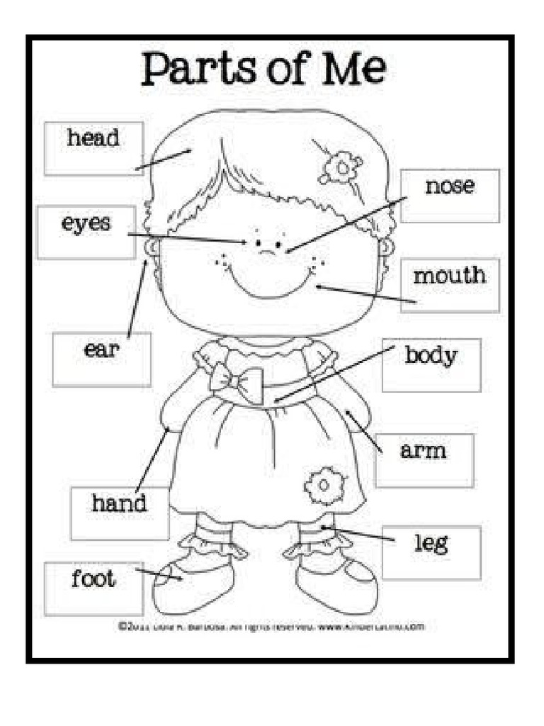 Body Parts Paint PDF