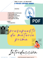 Presupuesto de Materia Prima