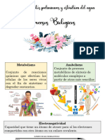 Tarea 1