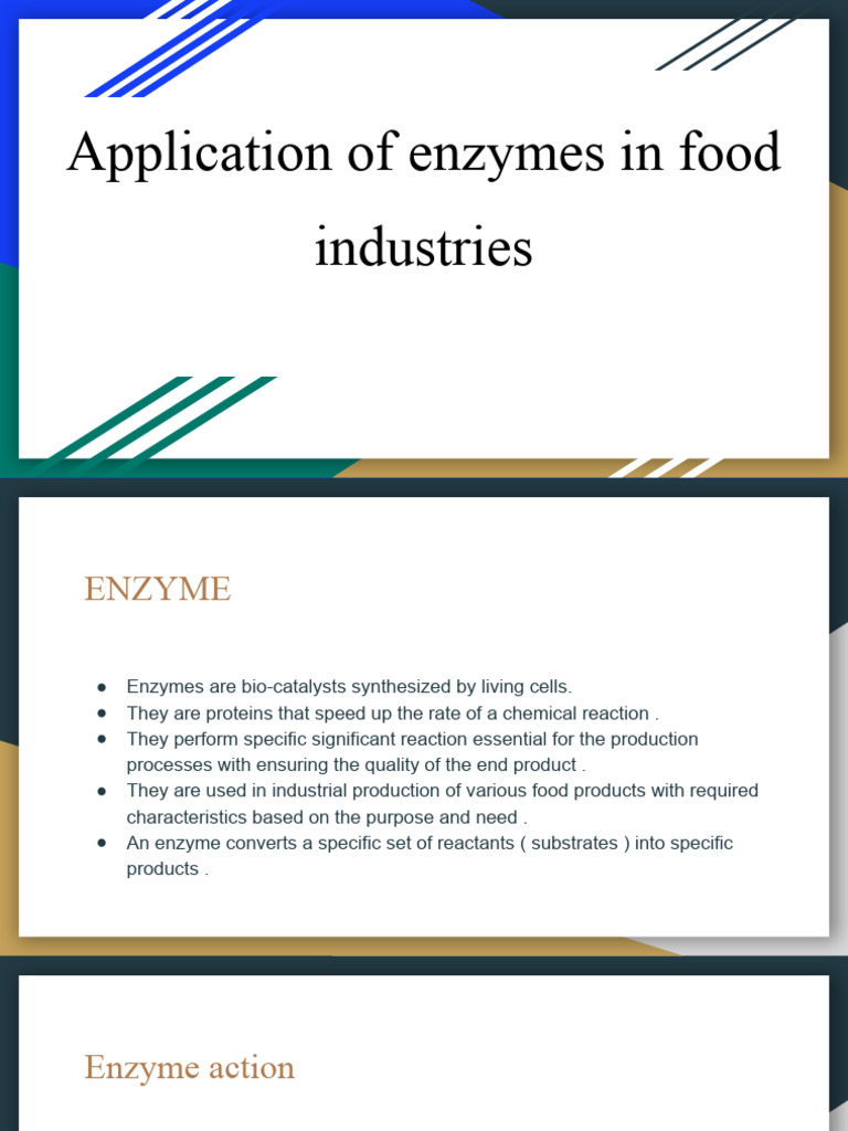 Application of Enzymes in Food Industries PDF Enzyme Enzyme