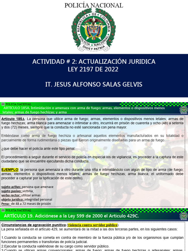 Armas y Violencia en la Ley 2197 | PDF | Policía | Castigos