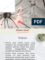 Hirza Rahmita - Sistem Saraf