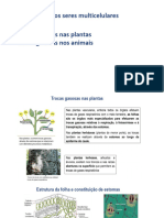 BIO 10º 9 - Trocas Gasosas em Seres Multicelulares