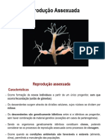 11º BIO - II 1 - Reprodução Assexuada