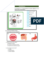 Practicas Del Sistema Digestivo