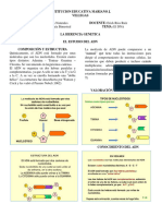 Guia Bimestral 9