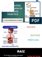 Terminologia Salud Bucal