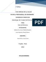 Nota de Enfermeria Teoria 02.07.22