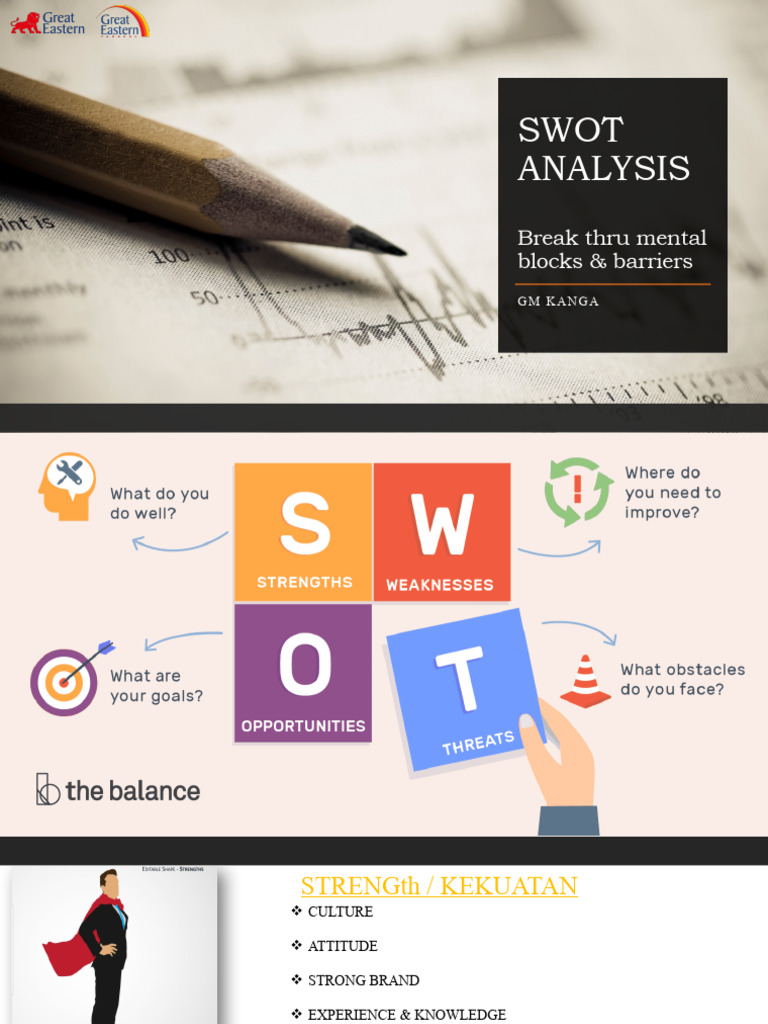 Swot Analysis Kanga | PDF | Business | Computers