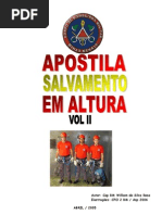 Salva II Minas Gerais