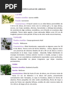 Plantas Nativas del Norte de Chile | PDF | Hogar, jardinería y bricolaje
