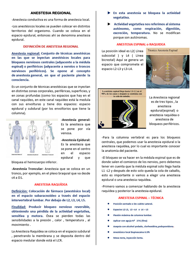 Tipos de Anestesia Regional y Raquídea | PDF | Fluido cerebroespinal ...