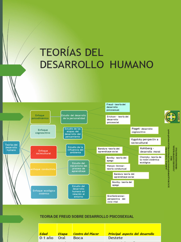 Teorías del Desarrollo Humano | PDF | Aprendizaje | Adultos
