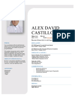 Alex David Castillo Inga CV