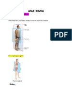 ANATOMIA Parcial1