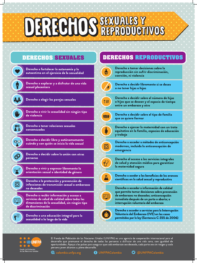 Infografia Afiches DSDR 50x70 | PDF